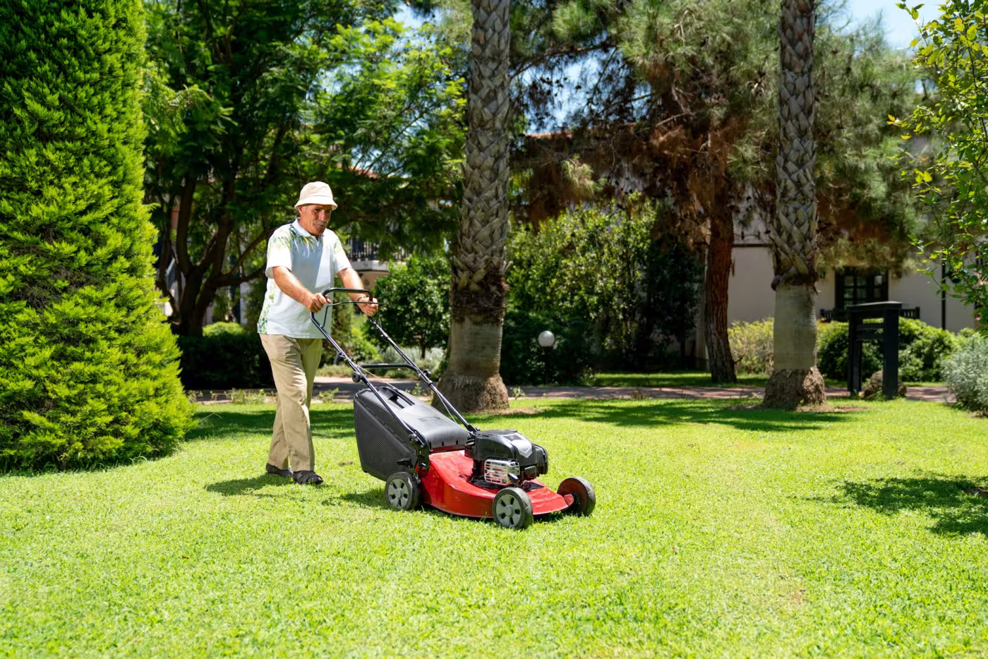 lawn care