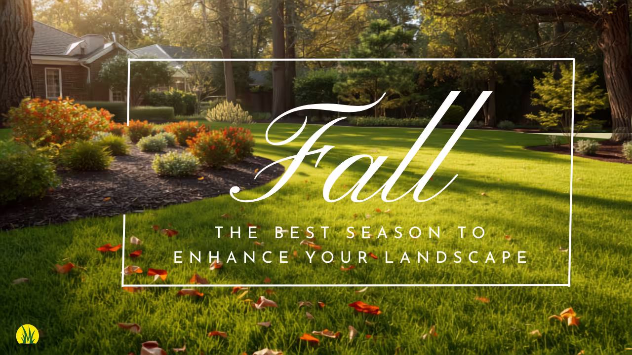 Fall landscape improvements