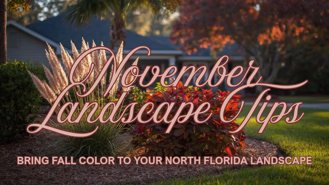 November NNorth Florida Landscape Tips