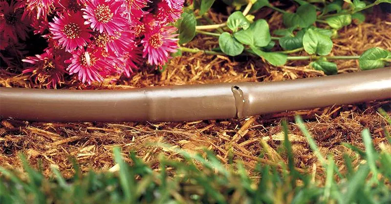 Drip irrigation tips