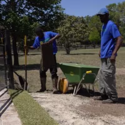 Landscape crew installing new sod along the property's fence and driveway area.
