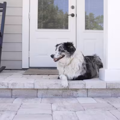 Completed paver patio and steps providing an updated entrance to the home's secondary structure.
