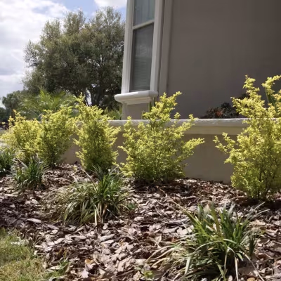 Fresh landscape plantings and mulch adding color, texture, and definition along the front of the home.
