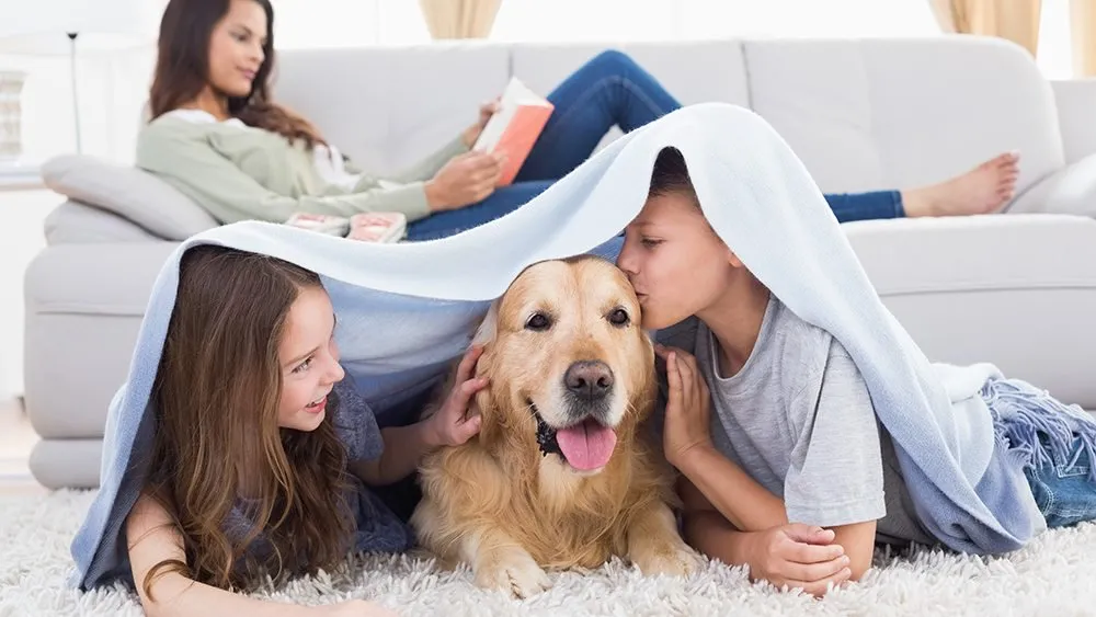 kids playing with dog inside a home