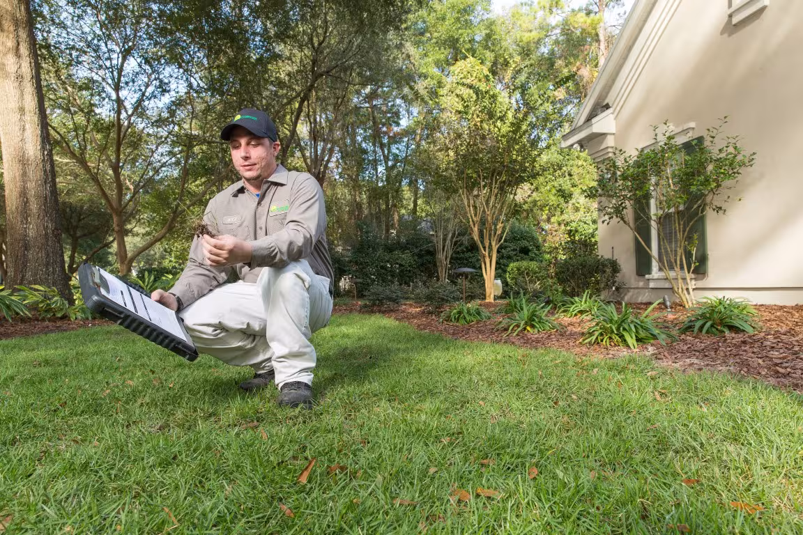 lawn tech inspecting health of the yard