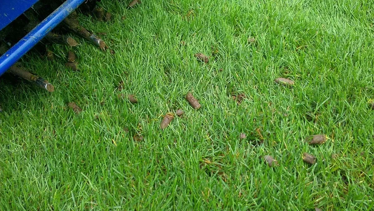 Lawn care services, lawn aeration in Gainesville, FL