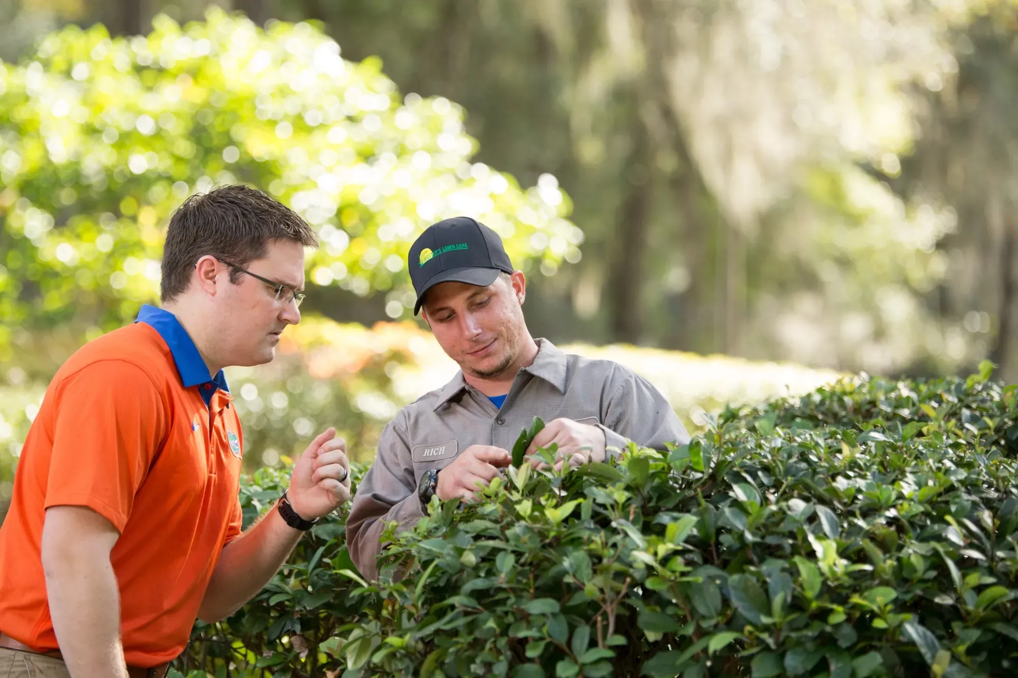 Tree & shrub fertilization in St. Augustine, Nocatee, Ponte Vedra Beach FL