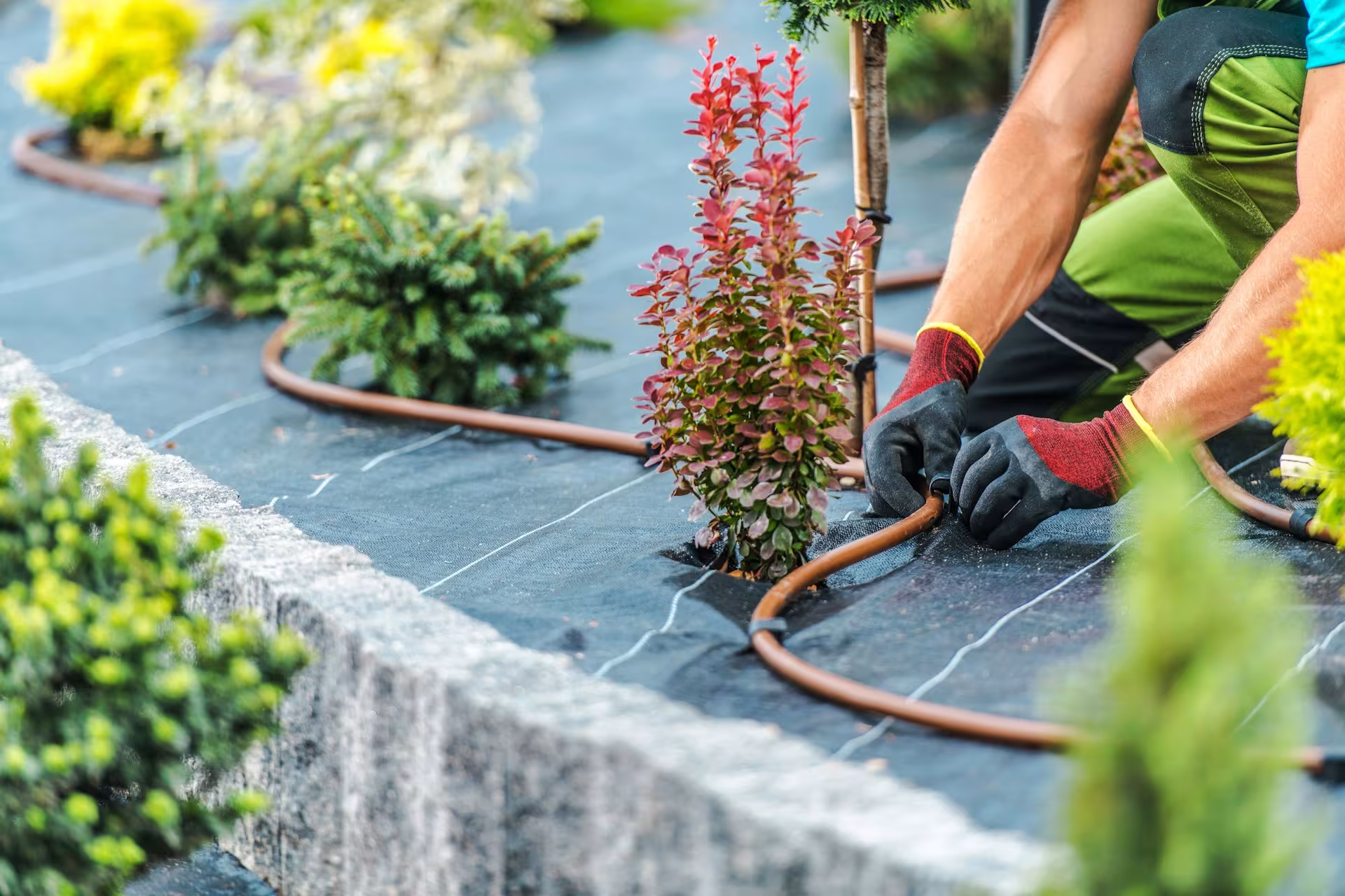 Landscaping Company