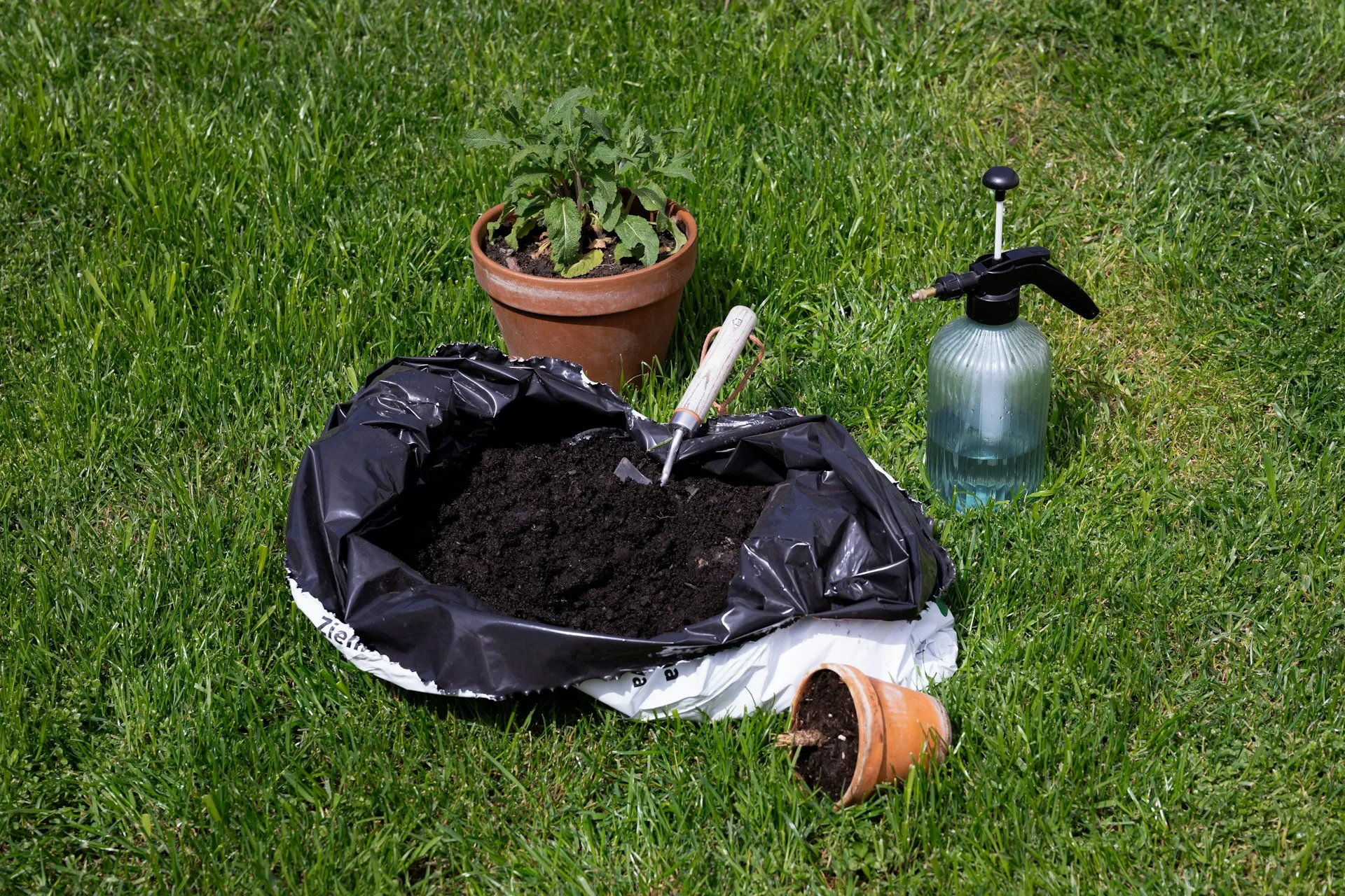  Lawn Fertilization