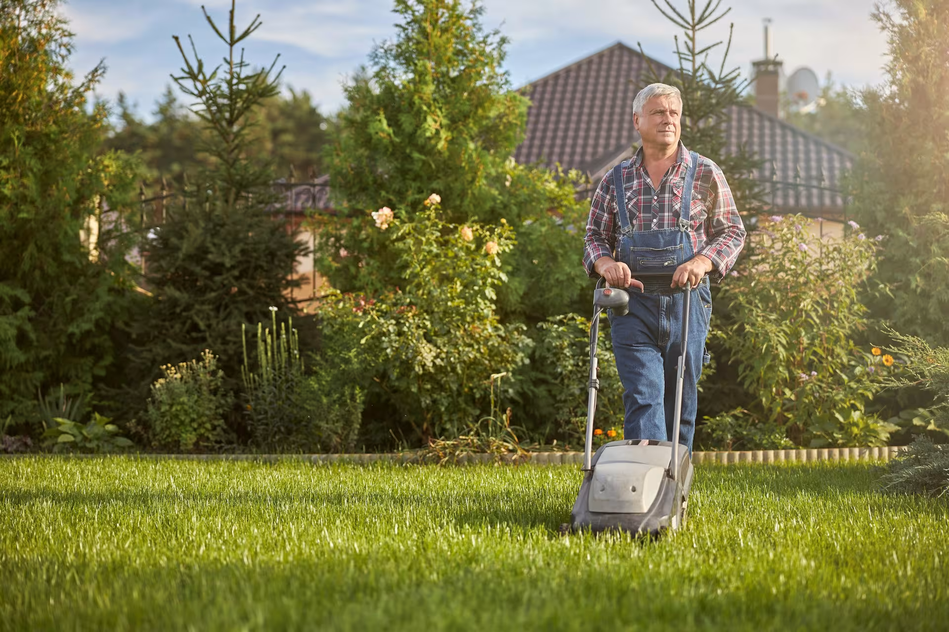 Lush Lawn 